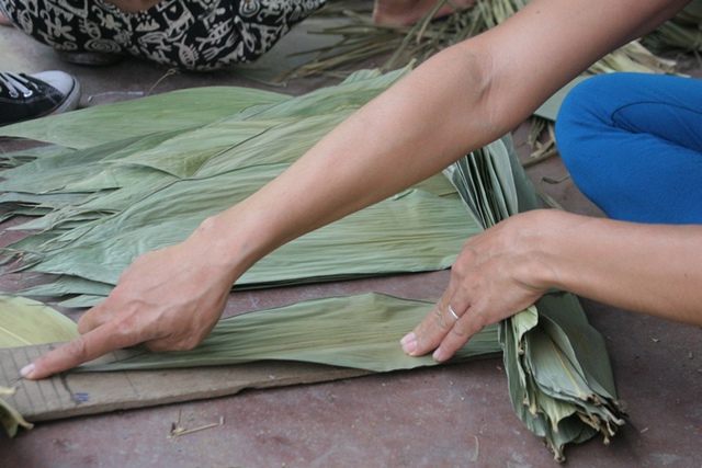 Lá được chia làm hai loại: loại A dài 45 cm, ngang 10 cm; loại B dài 40 cm, ngang 8 cm. Lá thành phẩm yêu cầu phải to bản, lành lặn, chỉ đốm hay rách một tí là coi như bỏ đi