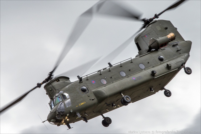 Chinook