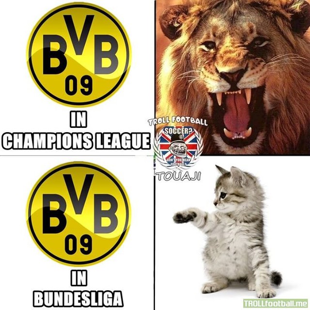 Dortmund chán Bundesliga rồi ư?