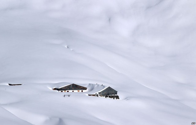Một trang trại bị chôn vùi dưới lớp tuyết dày trên núi Fellhorn, gần Oberstdorf, Đức.
