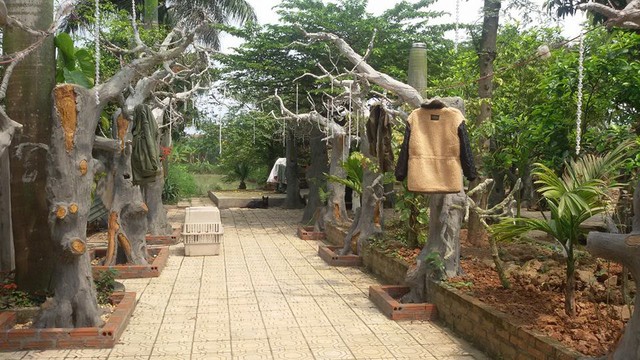 Hiện nay, nghệ sĩ Giang Còi cùng gia đình đang sống tại một khu đất vườn nhà rộng 10.000m2 ở ngoại thành Hà Nội.