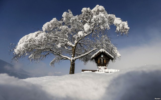 Tuyết trắng bao phủ cây dướng nắng mùa xuân tại ngôi làng Absam ở miền tây nước Áo.