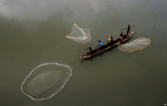 Các ngư dân quăng chài đánh cá trên sông Mahanadi ở ngoại ô thành phố Cuttack, Ấn Độ.