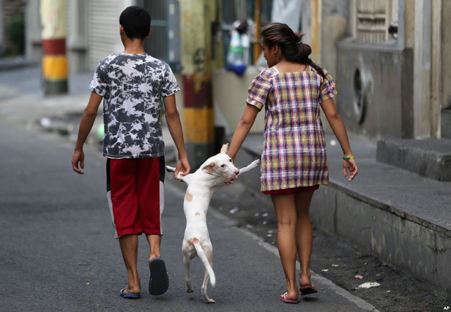 Một cặp đôi dắt chó đi dạo tại thành phố Intramuros, Philippines.