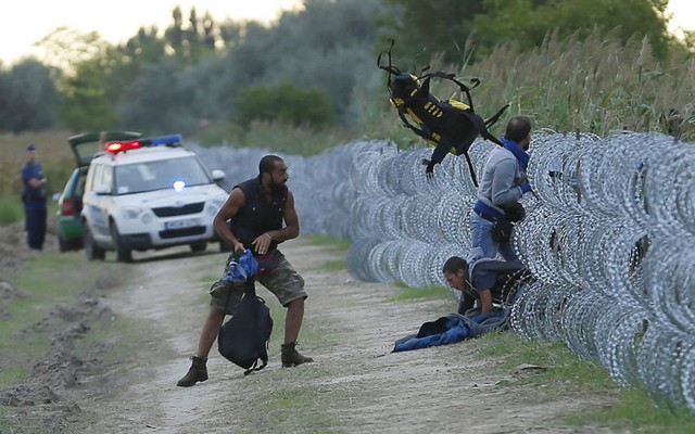 Cảnh sát đứng nhìn những người di cư Syria chui qua hàng rào dây thép gai từ Serbia sang thị trấn Roszke, Hungary.