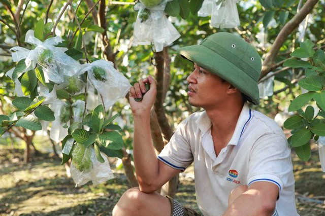 
Trở về quê, Lệ Rơi rơi vào trạng thái bị trầm cảm, thỉnh thoảng mới ra vườn ổi sau nhà cho khuây khỏa nỗi buồn.
