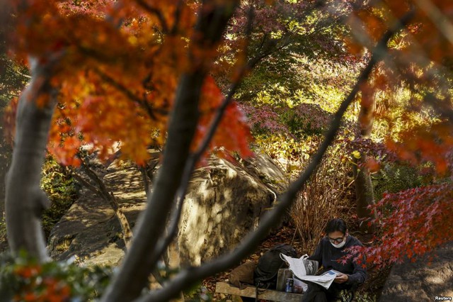 Người đàn ông ngồi đọc báo dưới bóng cây trong một công viên ở Tokyo, Nhật Bản.