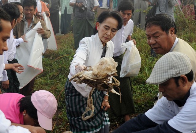 Bà Aung San Suu Kyi và các thành viên đảng Liên đoàn quốc gia vì Dân chủ (NLD) xuống đường thu gom rác tai thị trấn Kawhmu ở ngoại ô Yangon, Myanmar.