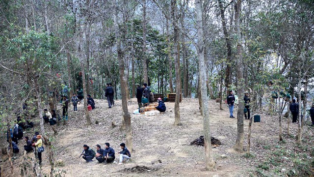 Chợ phiên, chợ chim, họa mi