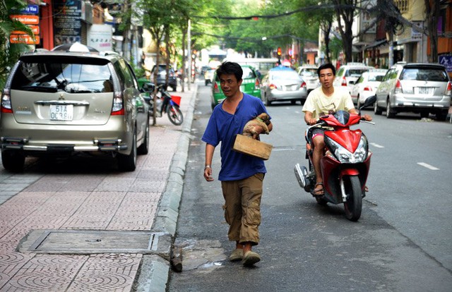 chó mù, đánh giày, sài gòn, thi sách, tình thương