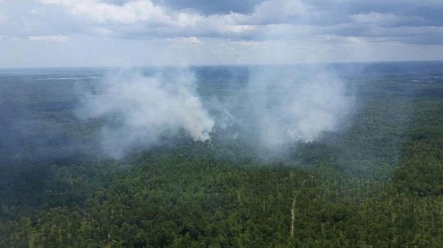 PHOTO: Smoke rises above the trees north of Charleston, S.C. near the site where the FAA says a military fighter jet crashed into a Cessna on July 7, 2015.