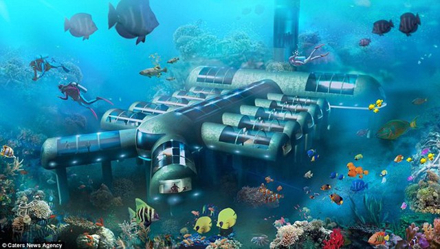 
Khách du lịch sẽ sớm được trải nghiệm về cuộc sống dưới đáy biển bằng cách đặt một phòng trong khách sạn dưới đại dương.
