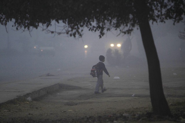 Cậu bé đi bộ tới trường trong sương sớm ở Rawalpindi, Pakistan.