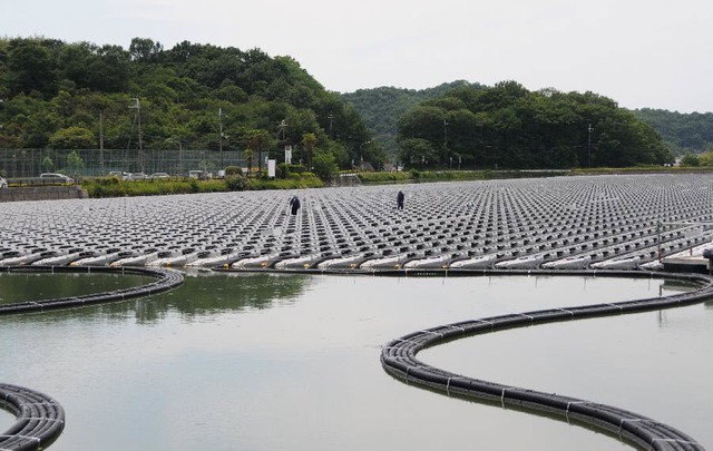 Nhà máy điện mặt trời nổi lớn nhất thế giới vừa được hoàn thành tại tỉnh Hyogo, Nhật Bản.