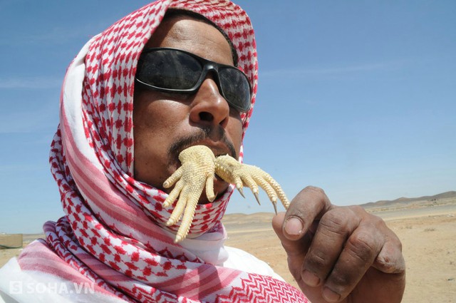 Món thằn lằn sống của người Ả Rập Xê Út: Một người đàn ông đang ăn một con thằn lằn sống. Các loài thằn lằn tại đất nước này sẽ được nấu chín hoặc ăn sống đều được ưa chuộng. Người Ả Rập Xê Út quan niệm rằng việc ăn thằn lằn sẽ tăng cường sức khỏe và chữa được nhiều loại bệnh.