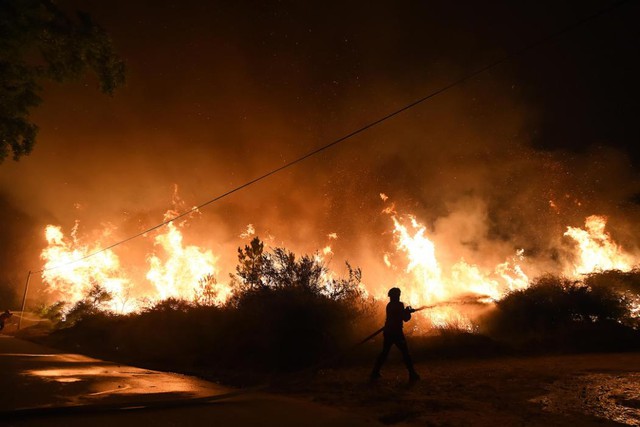 Lính cứu hỏa cố gắng dập tắt cháy rừng ở Mangualde, Bồ Đào Nha.