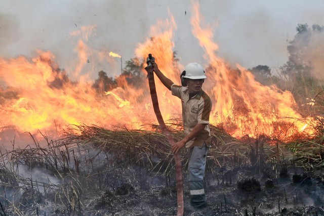 Lính cứu hỏa cố gắng kiểm soát một đám cháy rừng ở Ogan Ilir, tỉnh Nam Sumatra, Indonesia.