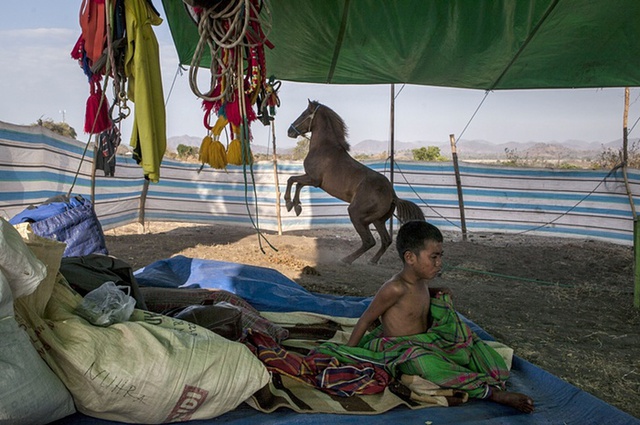 
Cậu bé nài ngựa 9 tuổi nghỉ ngơi trong một túp lều sau khi tham gia cuộc đua ngựa truyền thống trên đảo Sumbawa, Indonesia.

