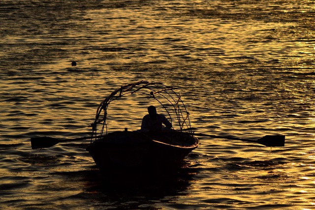 Ngư dân đánh cá trên sông Yamuna, Ấn Độ