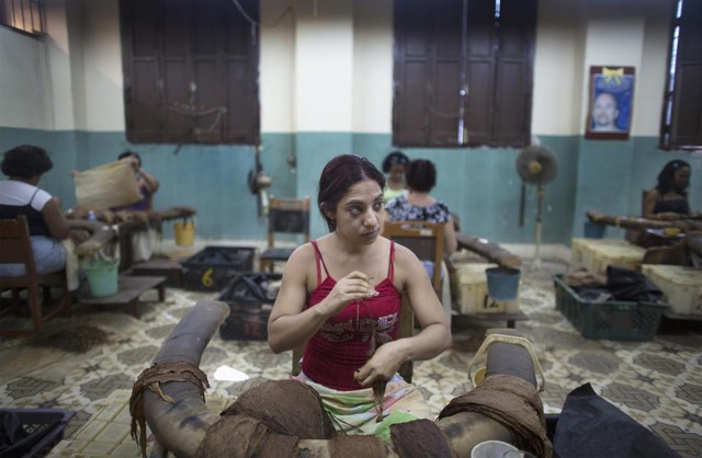 Công nhân làm việc trong nhà máy sản xuất xì gà H. Upmann ở Havana, Cuba.