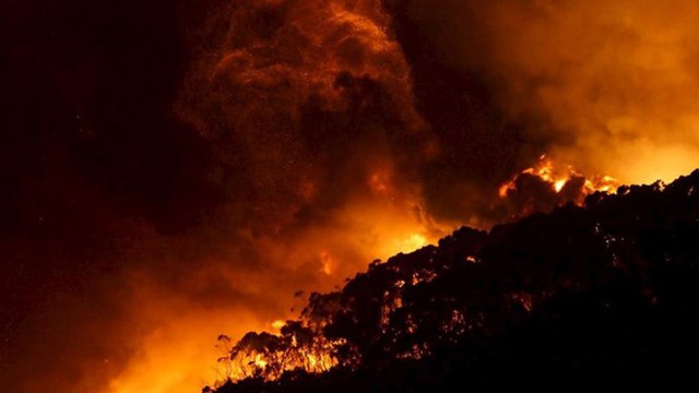 Cảnh tượng cháy rừng dữ dội ở thành phố Wye River, phía nam Melbourne, Australia.