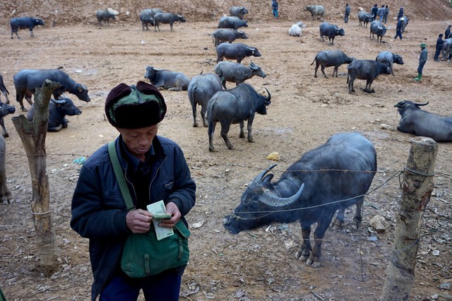 Chợ trâu, chợ phiên, Cán Cấu, tây bắc