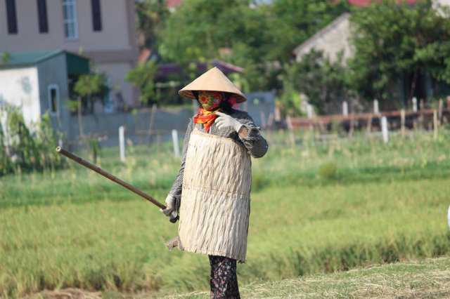 thần hộ vệ, người nông dân, chống chọi, nắng thiêu đốt, Hà Tĩnh