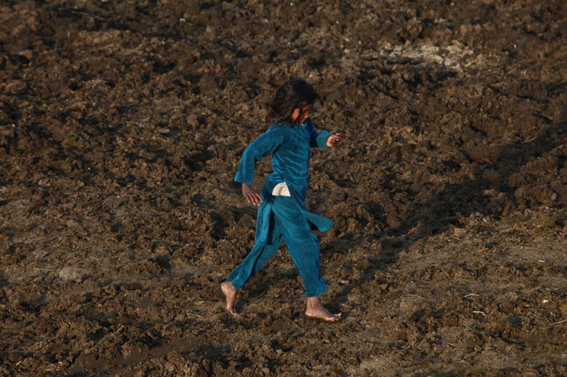 Bé gái chạy chân chân trần trên phân bò ở ngoại ô Lahore, Pakistan. Người dân Pakistan thường sử dụng phân bò khô để làm chất đốt do tình trạng thiếu nhiên liệu.