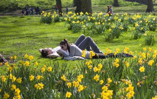 Một cặp đôi tận hưởng ánh nắng mặt trời trên bãi cỏ của công viên St James tại London, Anh.