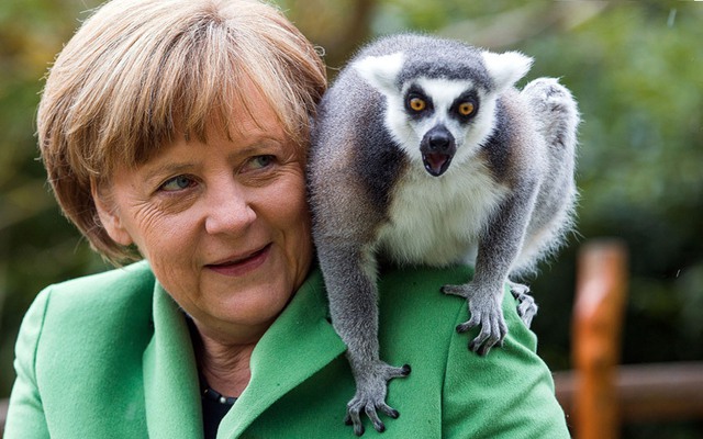 Thủ tướng Đức Angela Merkel cho vượn cáo ăn trong chuyến thăm tới vườn thú Vogelpark ở Marlow, Đức.