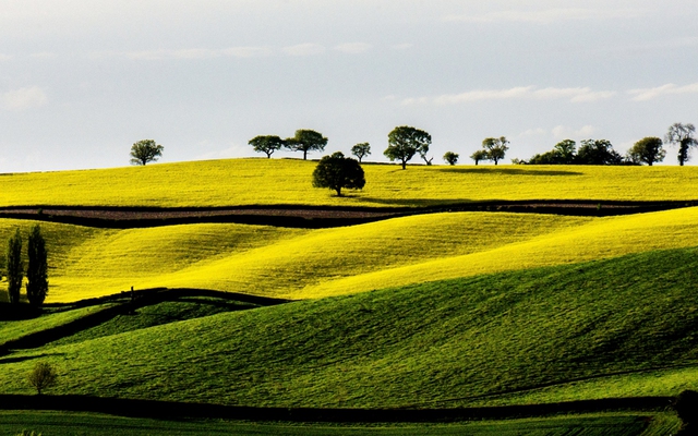 Những ngọn đồi nhấp nhô dưới nắng sớm gần Woodborough, Nottinghamshire, Anh.