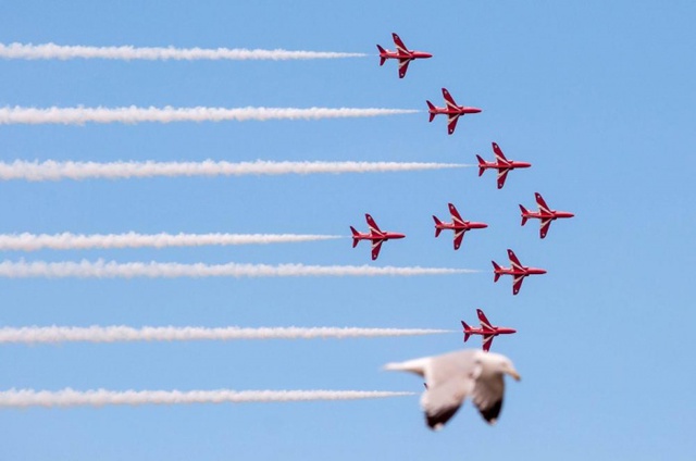 Chim mòng biển cố gắng gia nhập phi đội Red Arrows tại một triển lãm hàng không ở Llandudno, xứ Wales.