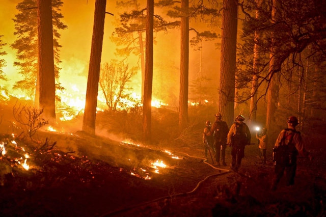 Lính cứu hỏa nỗ lực chữa cháy trong rừng  San Bernardino ở California, Mỹ.