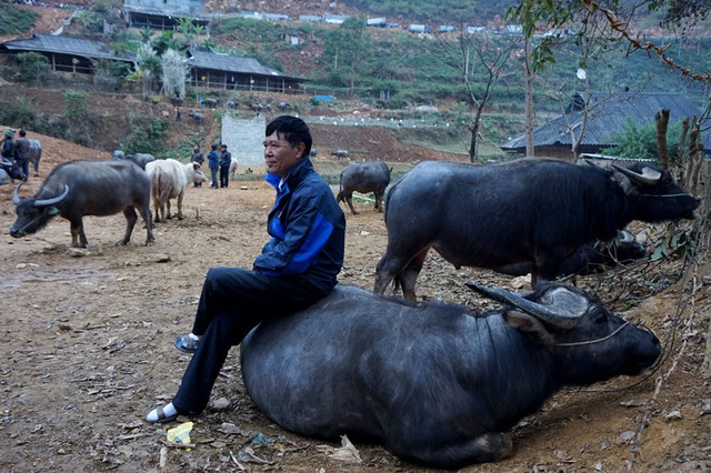 Chợ trâu, chợ phiên, Cán Cấu, tây bắc