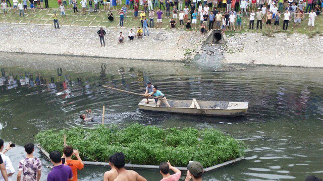 Vì nước sông Tô Lịch rất ô nhiễm nên người dân không dám xuống vây bắt, sự việc khiến người dân hiếu kỳ đứng kín hai bên đường.