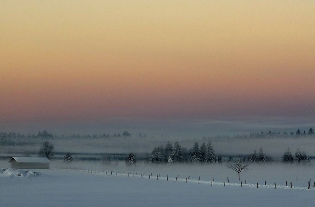 Băng tuyết bao phủ vùng thảo nguyên ở Warngau, Đức.