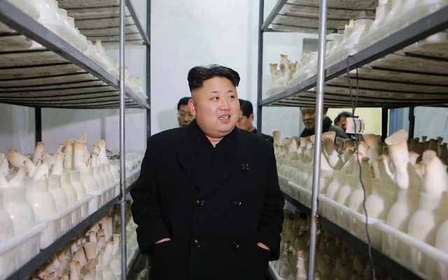Nhà lãnh đạo Triều Tiên Kim Jong Un thị sát trang trại nấm mới xây dựng tại thành phố Bình Nhưỡng.