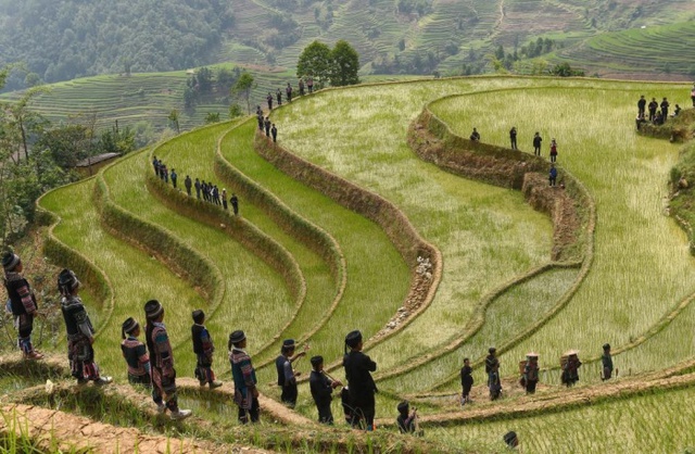 Những người dân làng thuộc nhóm dân tộc Hani hát một bài dân ca trên những thửa ruộng bậc thang ở tỉnh Vân Nam, Trung Quốc.