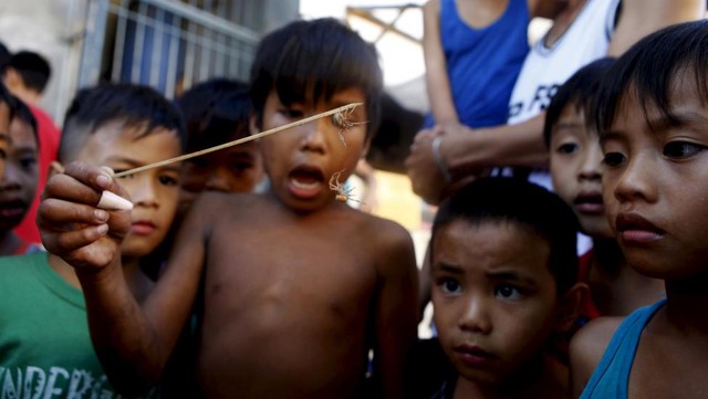 Trẻ em tò mò em chọi nhện ở thành phố Las Pinas, Philippines.