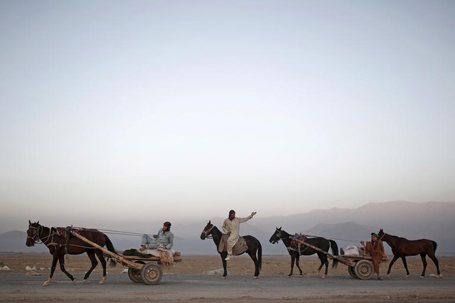Người lao động tới nơi làm việc bằng xe ngựa ở ngoại ô Kabul, Afghanistan.