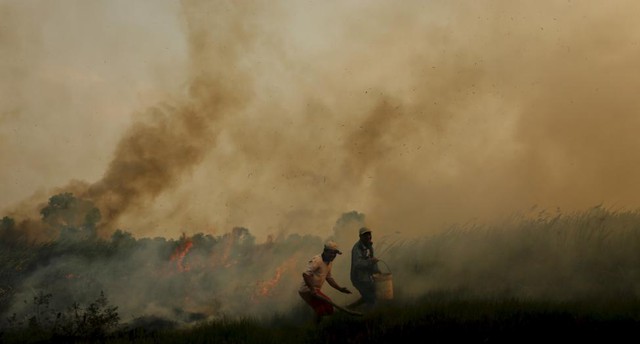 Người dân múc nước để cố gắng dập tắt cháy rừng gần nhà của họ ở Nam Sumatra, Indonesia.