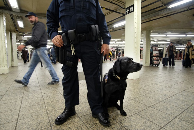 Cảnh sát thành phố New York cùng chú chó nghiệp vụ canh gác tại một trạm tàu điện ngầm ở quảng trường Thời đại.