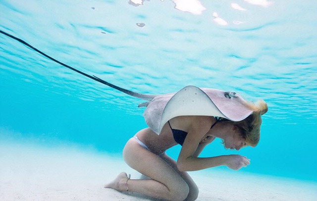 Người mẫu mặc bikini cúi khom lưng dưới mặt nước trong khi một con cá đuối gai độc bơi ngay phía trên cô ngoài khơi đảo Moorea ở Thái Bình Dương.