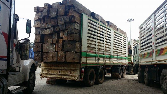 Hàng trăm, xe gỗ, Cửa khẩu, Quốc tế Lao Bảo, Quảng Trị, nhập khẩu