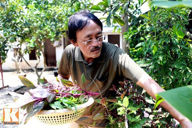 Nghệ sỹ hài Giang còi có một vườn rau xanh mướt do anh tự tay chăm sóc để có nguồn rau sạch cho gia đình.