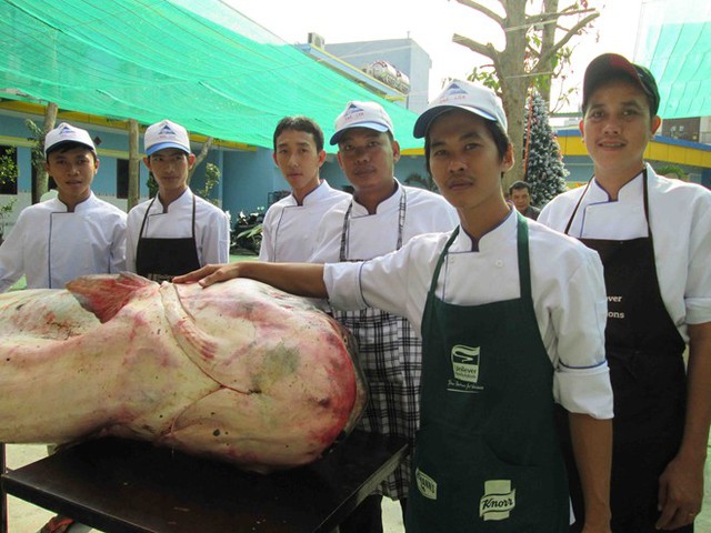 Nhà hàng Hai Lúa (TP.Long Xuyên, tỉnh An Giang) mua con cá tra dầu nặng 247kg này vào năm 2013. Ảnh: Zing.vn