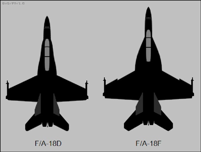 Hình ảnh tổng quát giữa F/A-18D và F/A-18F, ta có thể thấy F/A-18F có thân lớn hơn, gốc cánh kéo dài có hình dạng khác, tương tự gốc cánh kéo dài trên YF-17 Cobra. “Răng chó” được thêm vào trên mép cánh tà trước của F/A-18F