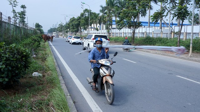 
Vác hàng cồng kềnh...
