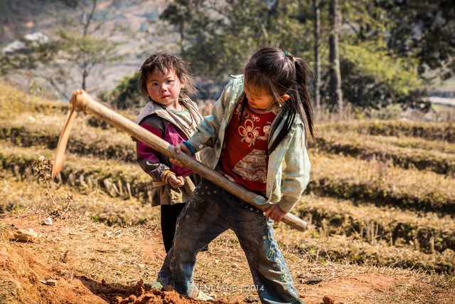 Công việc này như quá sức đối với khả năng của cô bé.