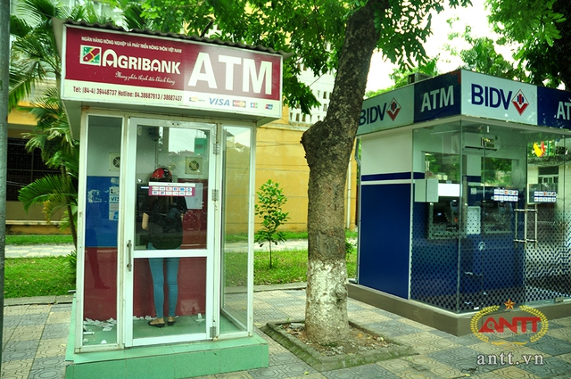 chùm ảnh cây ATM 